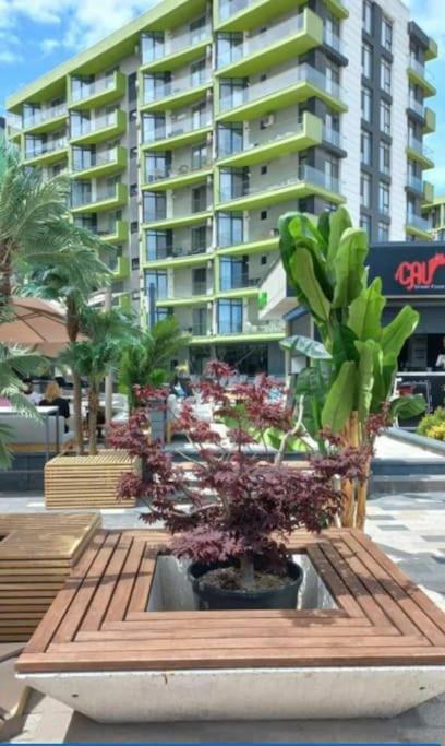 Alezzy Beach Apartament Prima Linie La Mare Năvodari Exterior foto